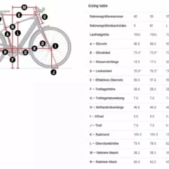 Trek FX+ 2 Viper Red -Bikes Verkaufsgeschäft FXPlus2