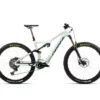 Orbea RISE M-TEAM Sap White - Green Fog (Gloss)
