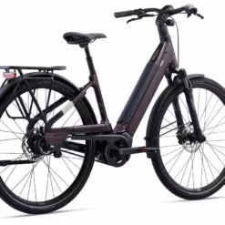 Liv Allure E+ 1 (BD/Sport/500Wh) Rosewood -Bikes Verkaufsgeschäft MY22AllureEplus1 ColorBRosewood Rear