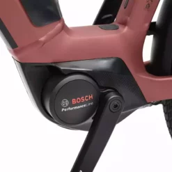 Winora Sinus N5 Tiefeinsteiger - Maroonred Matt -Bikes Verkaufsgeschäft Winora MY21 Detail Motor Sinus N5