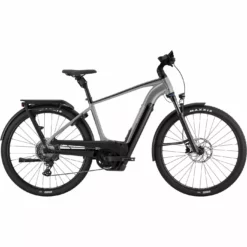 Cannondale Tesoro Neo X 1 Grey